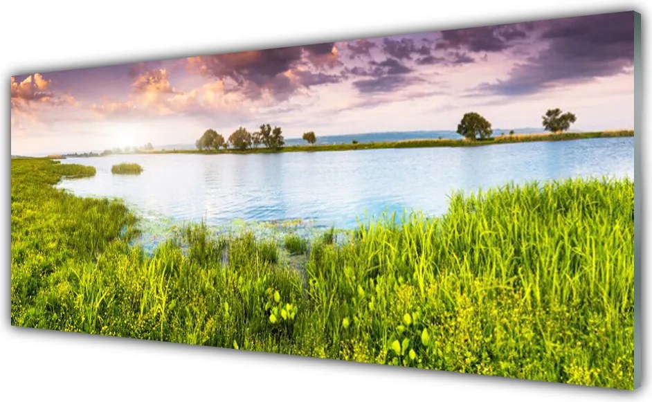 Panel Szklany Szuwary Nad Cichym Jeziorem