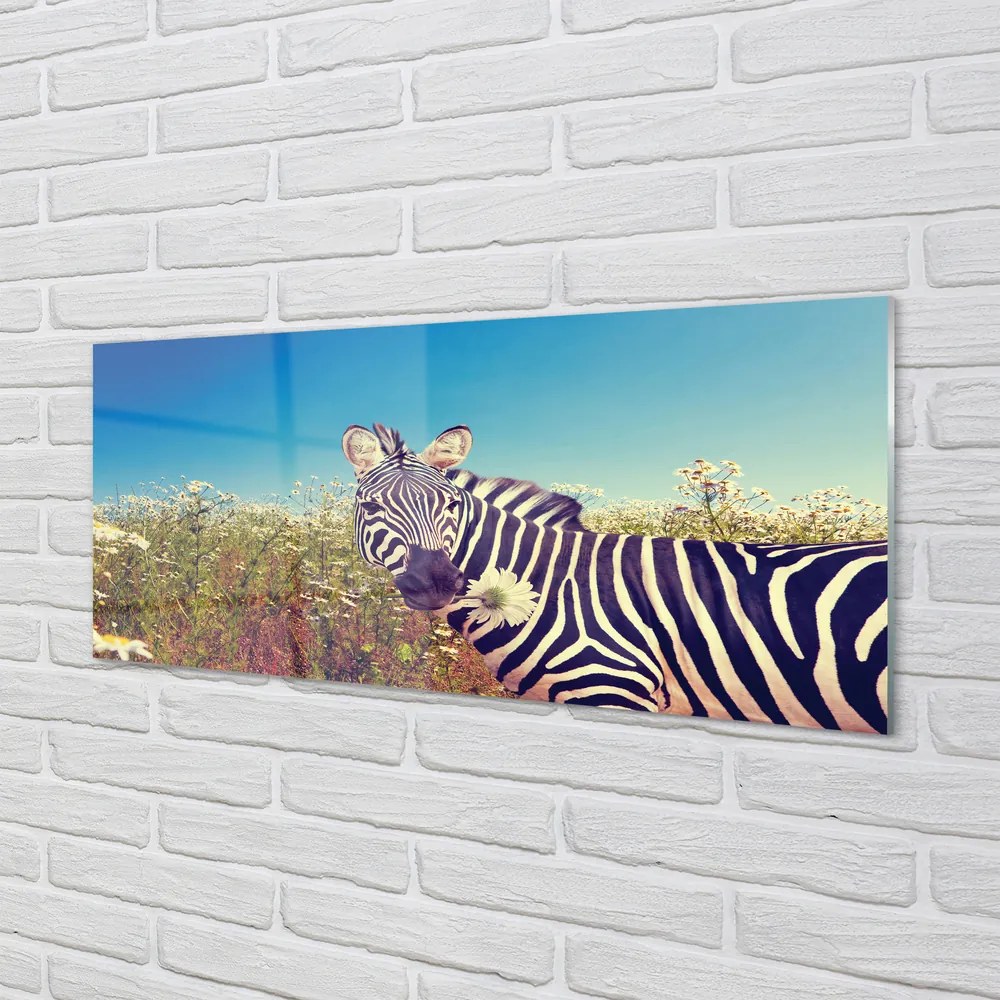 Szklany Panel Zebra kwiaty