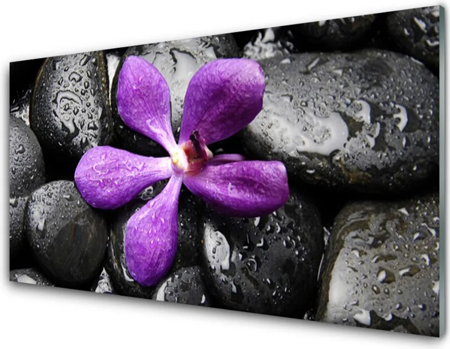 Panel Szklany Harmonijna Kompozycja Zen