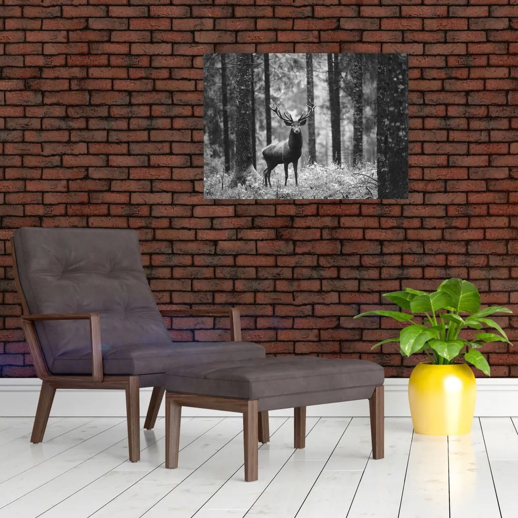 Obraz - Jeleń w lesie 2, czarno - biały (70x50 cm)