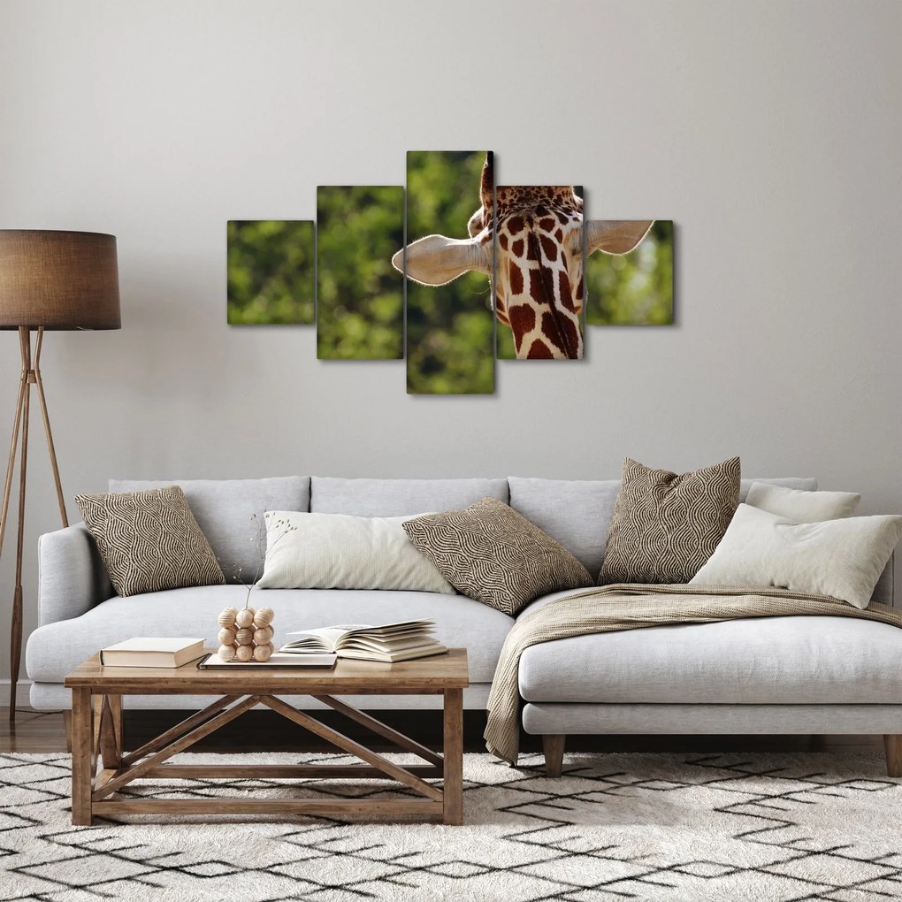 Obraz żyrafy od tyłu (125x70 cm)
