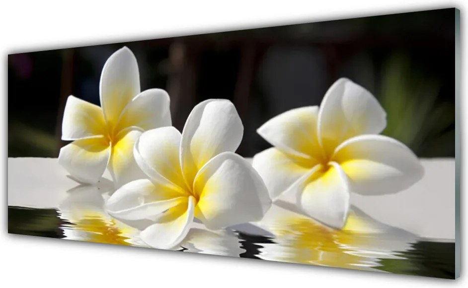 Szkło do Kuchni na Ścianę Harmonijny Bukiet Polny