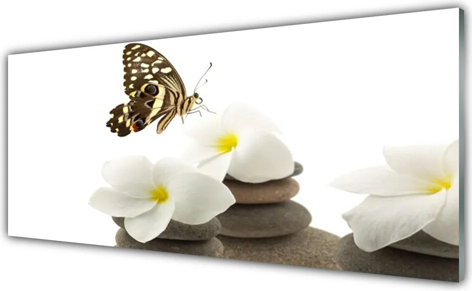 Panel nad blat kuchenny Motyl na Kamiennej Orchidei