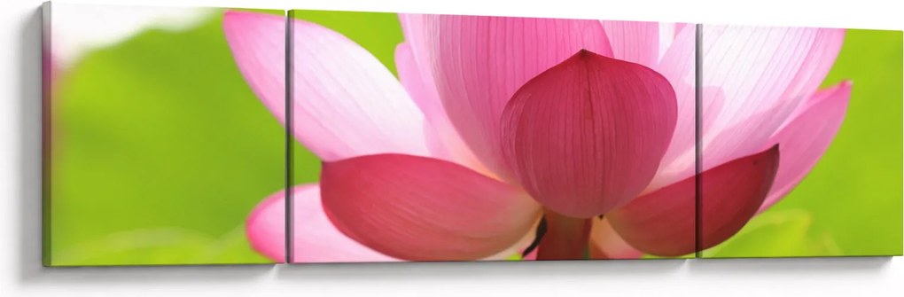 Obraz kwiatu lotosu (170x50 cm)