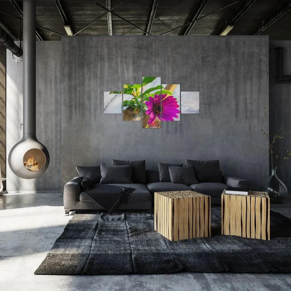 Obraz ciętego kwiatu (125x70 cm)