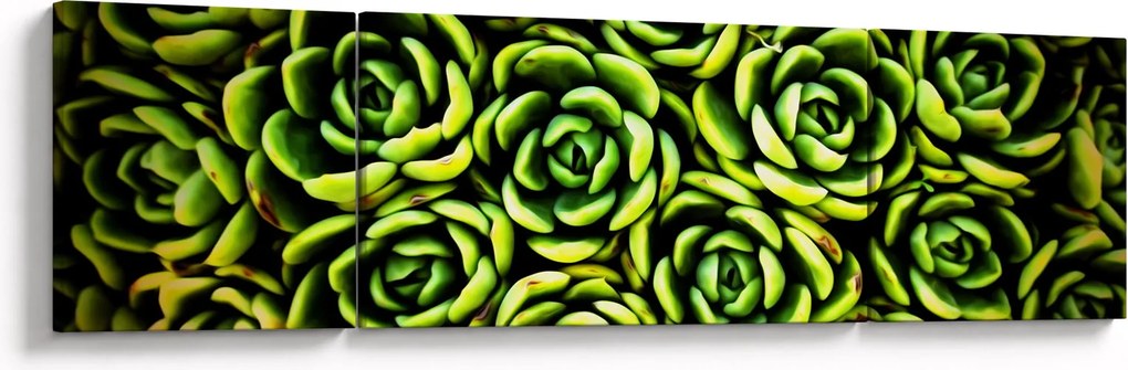 Obraz bez grzywki (170x50 cm)