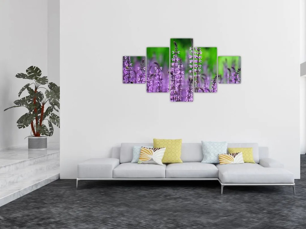 Obraz fioletowych kwiatów polnych (125x70 cm)