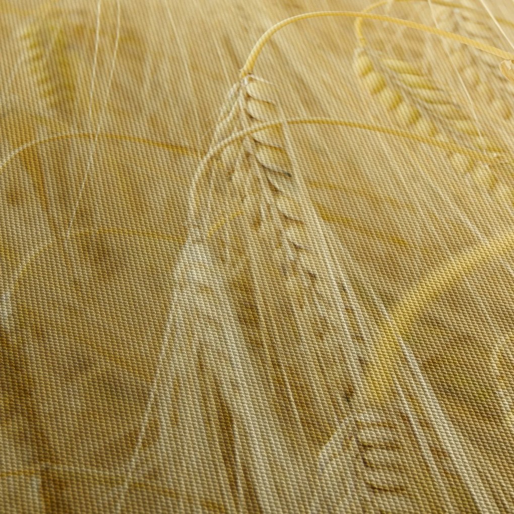 Obraz - Jęczmień (z zegarem) (90x30 cm)