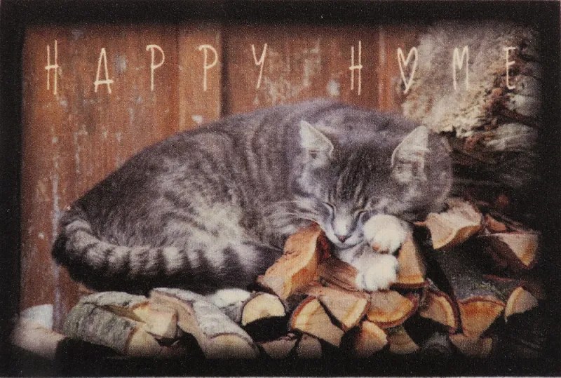 Wycieraczka Deco Star Kociak Happy Home 40 cm x 60 cm