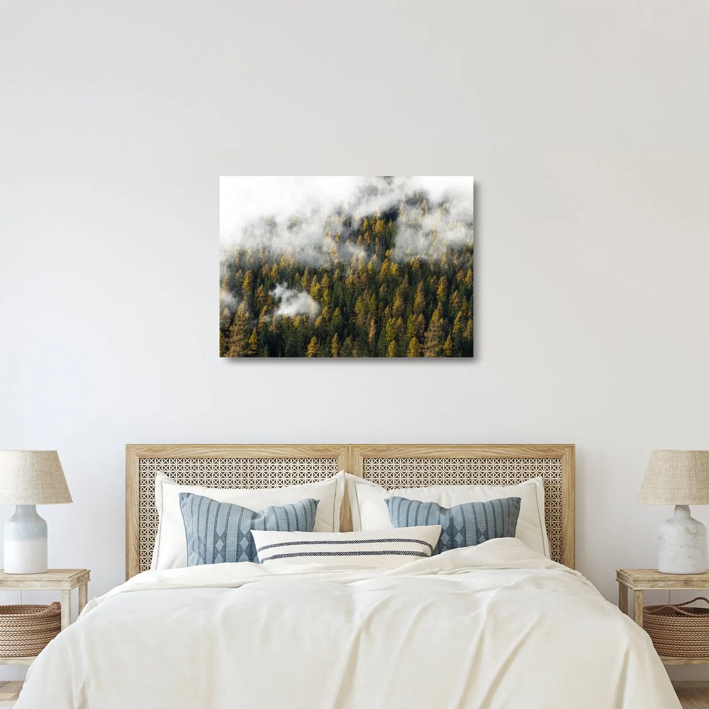 Obraz na szkle lasu w chmurach (70x50 cm)