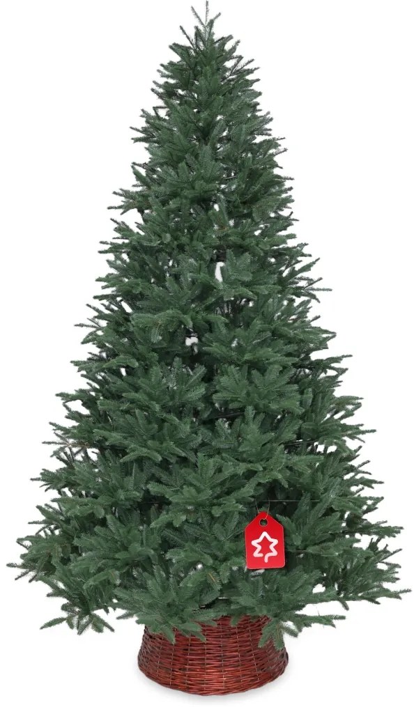 Jodła syberyjska 100% 150 cm