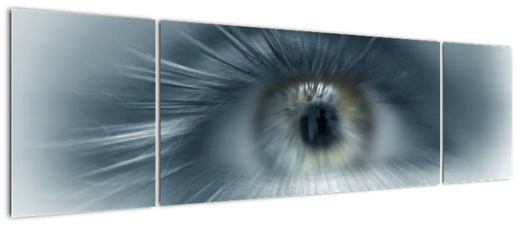 Obraz - Widok oka (170x50 cm)