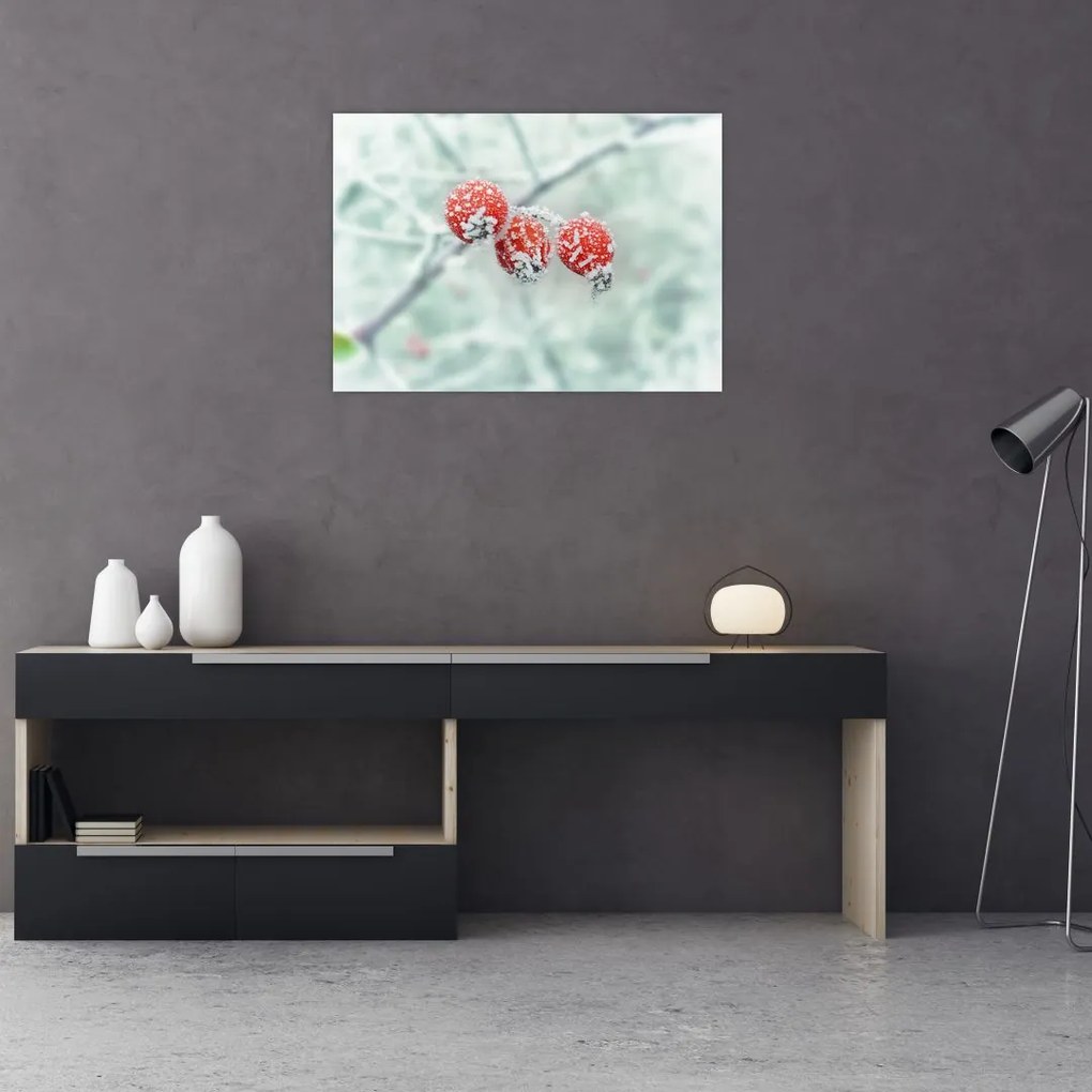 Obraz mrożonych owoców dzikiej róży (70x50 cm)