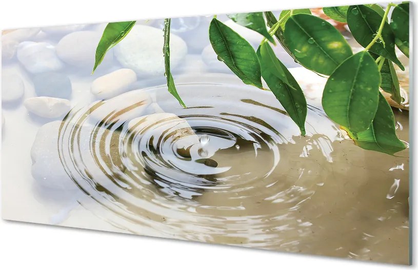 Szklany Panel Krystaliczny Plusk Wody