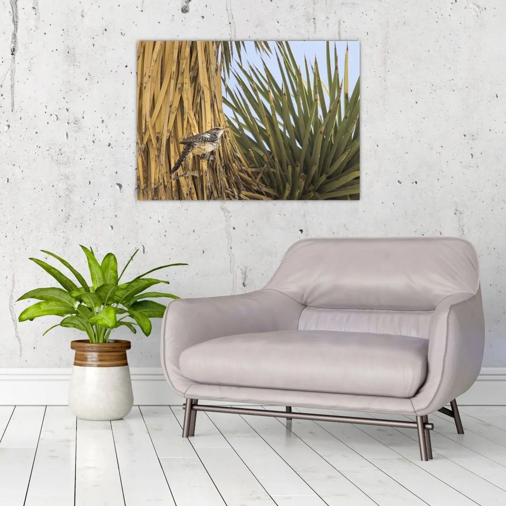 Obraz na szkle - Strzyżyk (70x50 cm)