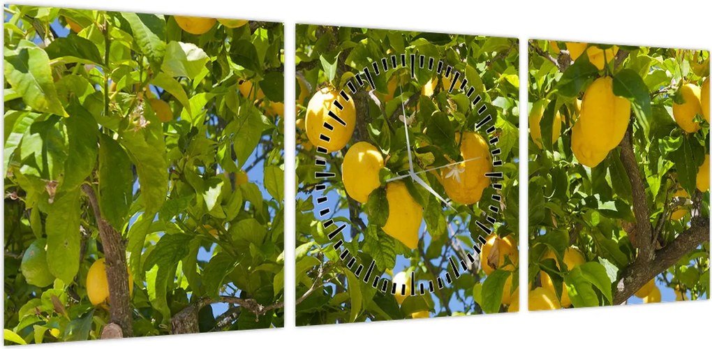 Obraz - Drzewo cytrynowe (z zegarem) (90x30 cm)