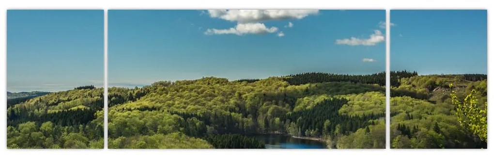 Obraz - Jezioro w lesie (170x50 cm)
