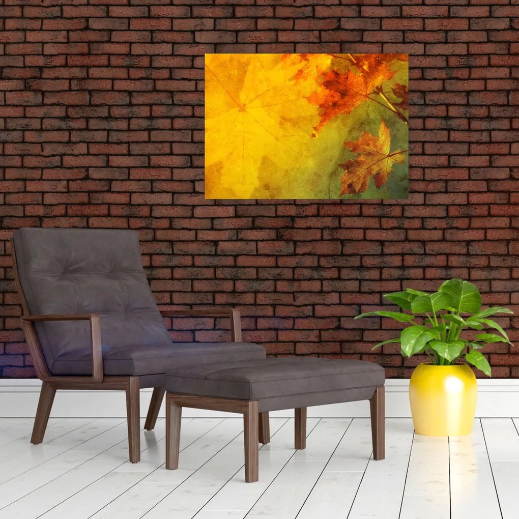 Obraz - Jesienne liście (70x50 cm)