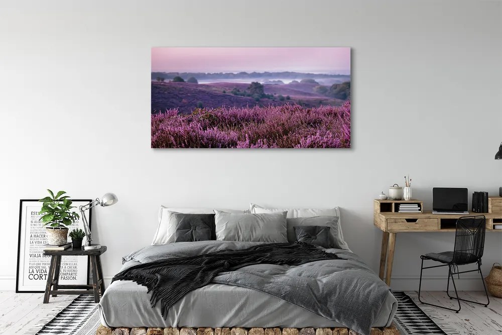 Obraz drukowany na płótnie Pole Wrzosów
