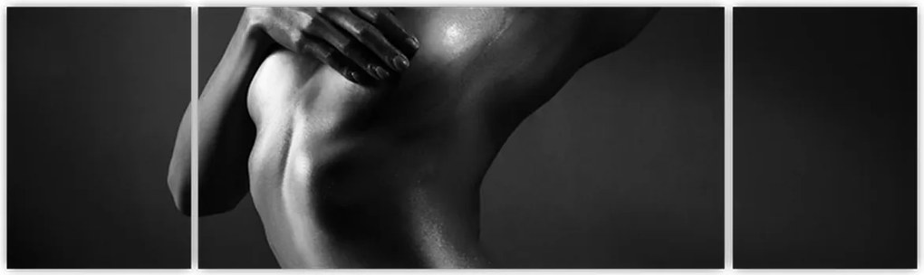 Obraz - Nagie kobiety (170x50 cm)