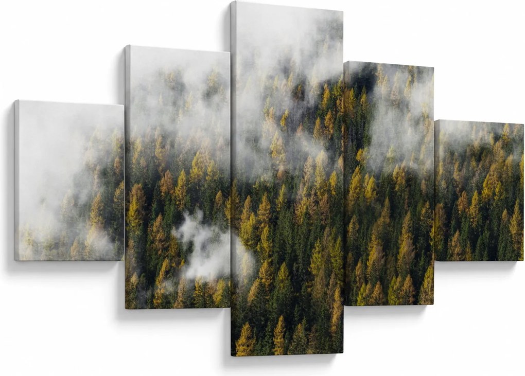 Obraz lasu w chmurach (125x70 cm)