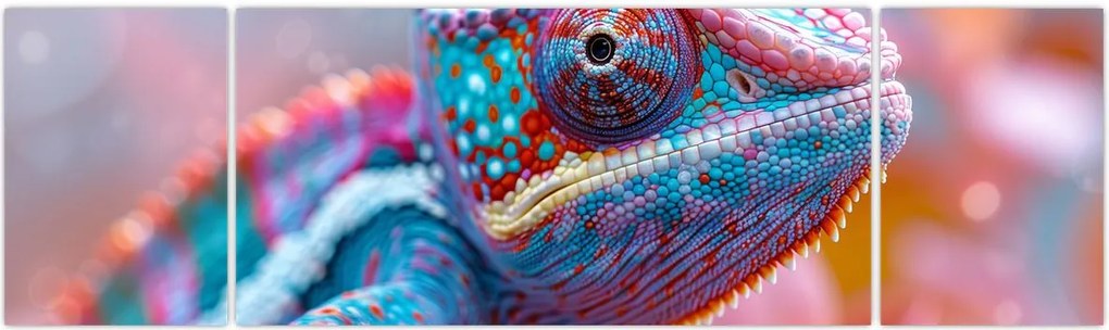 Obraz - Kolorowy kameleon (170x50 cm)