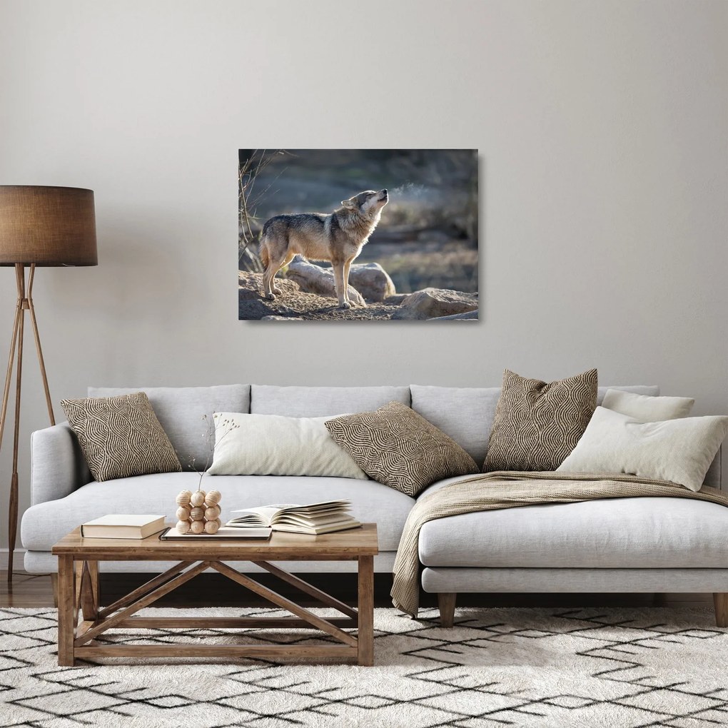 Obraz na szkle - Wyjący Wilk (70x50 cm)