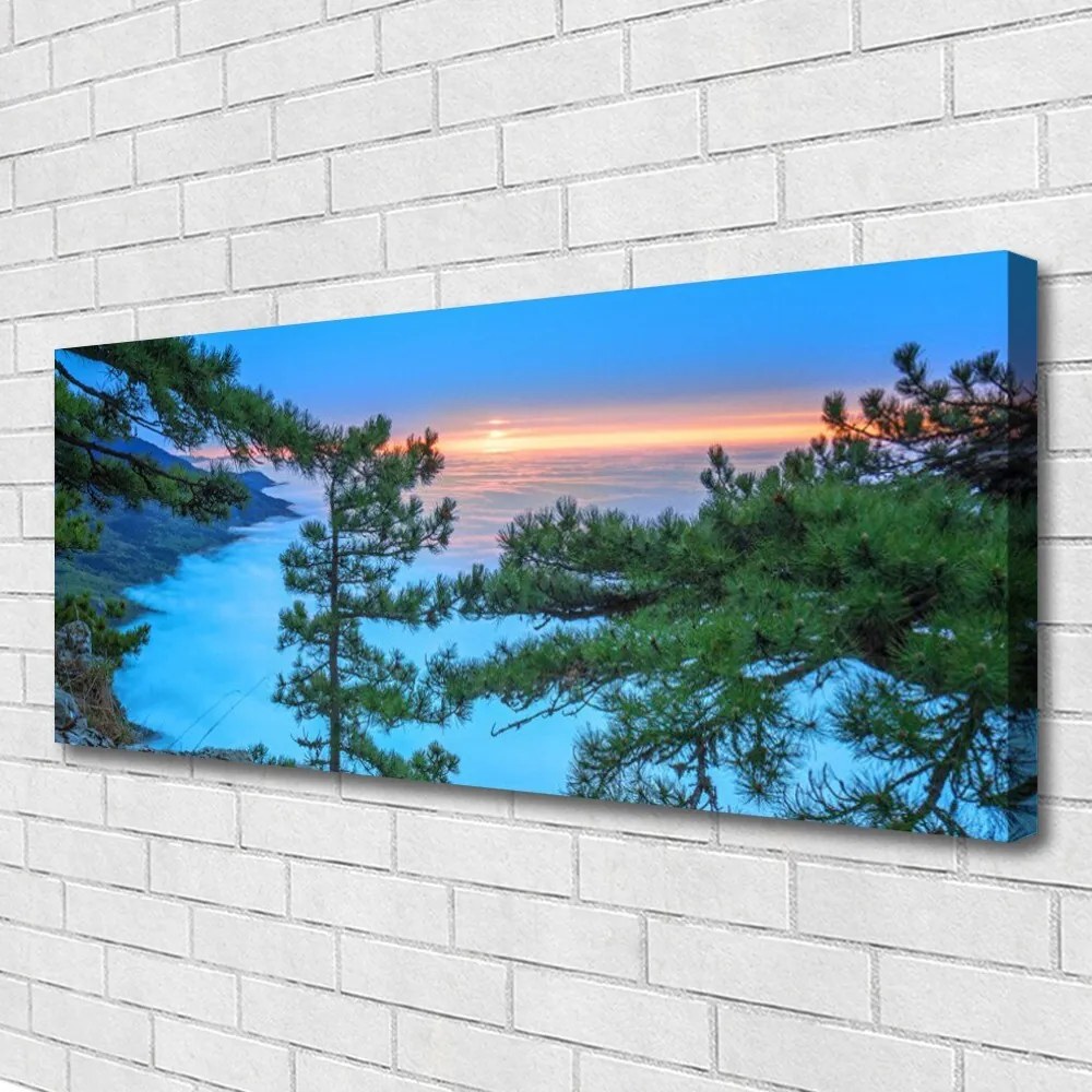 Obraz na płótnie Majestatyczne Drzewa w Lesie