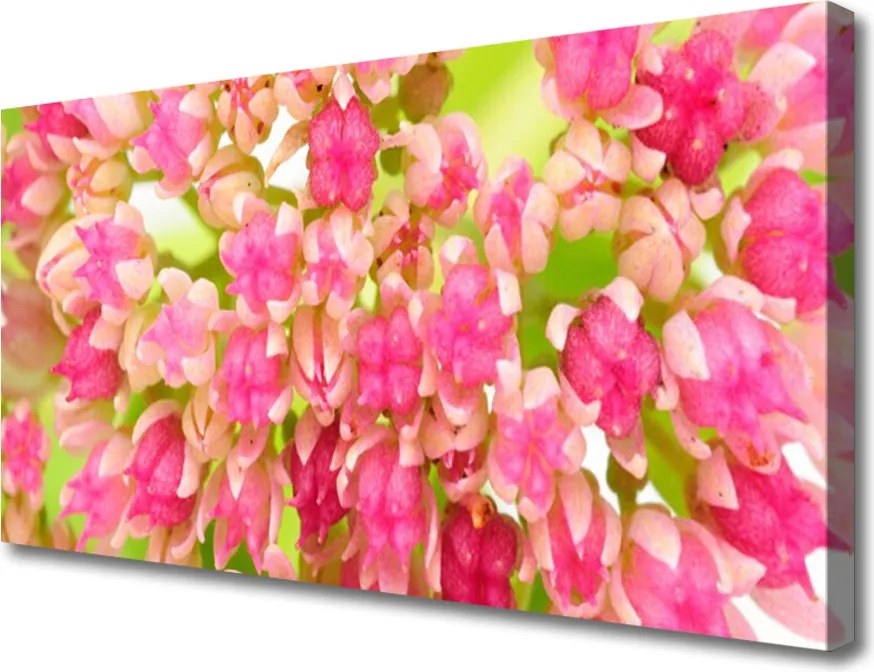 Fotoobraz na płótnie Subtelny Kwiat Lotosu