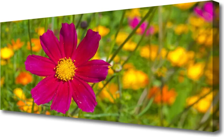 Obraz canvas Subtelny Pąk Kwiatowy