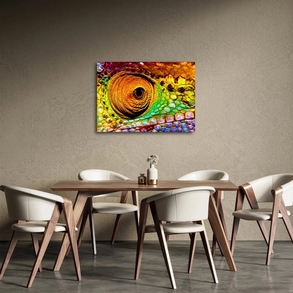 Obraz - Kameleon (70x50 cm)