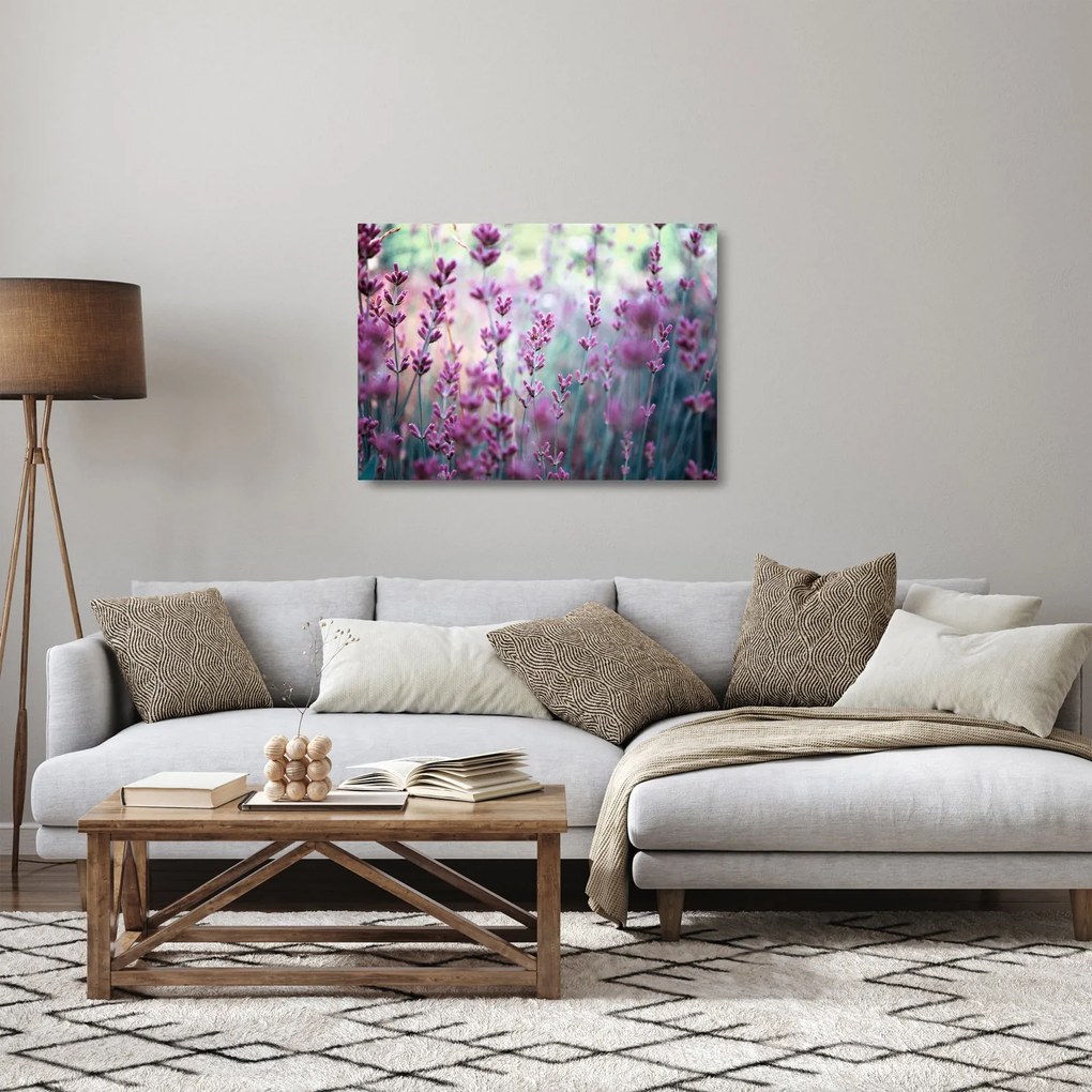 Obraz na szkle - Lawenda (70x50 cm)