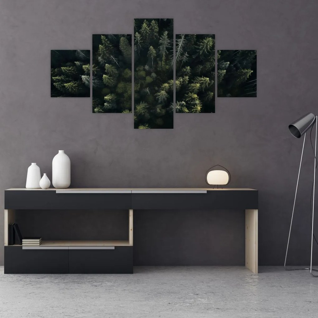 Obraz - Las (125x70 cm)