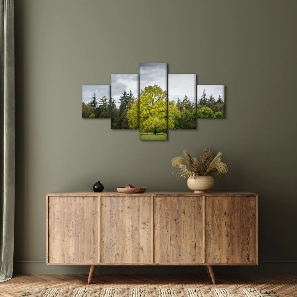 Obraz zielonego drzewa na środku pola (125x70 cm)