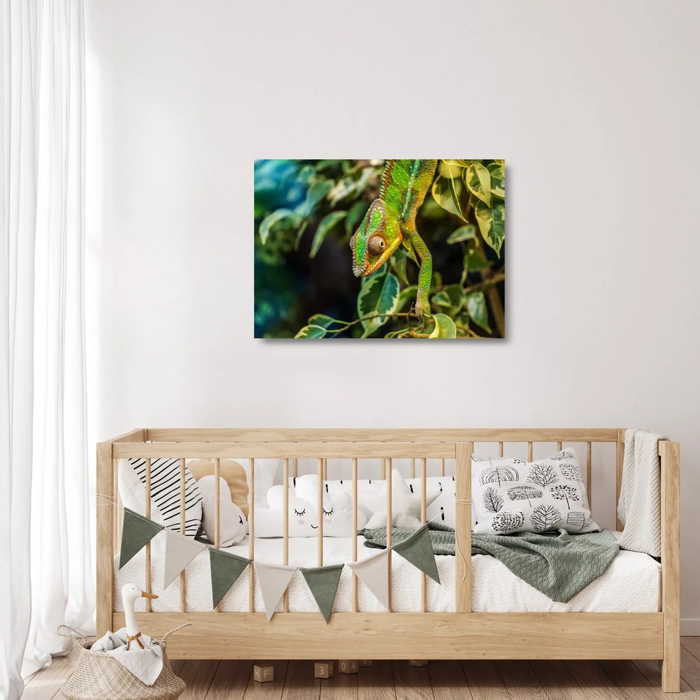 Obraz na szkle kameleona (70x50 cm)