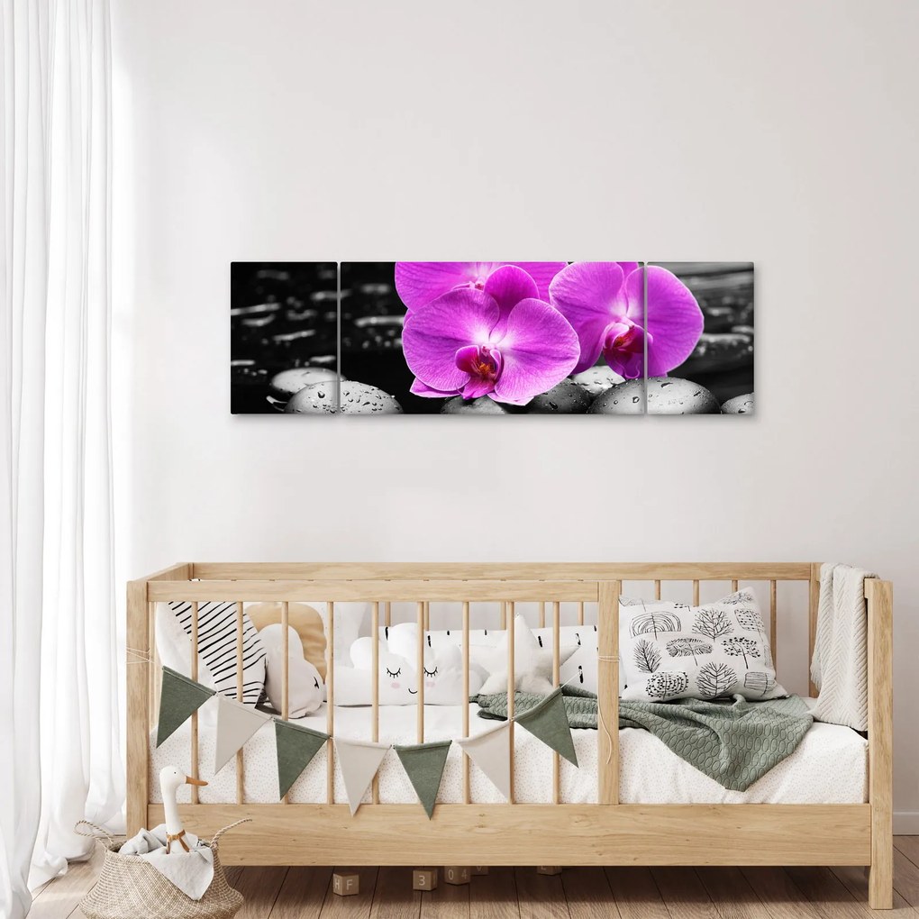 Obraz - Fioletowe orchidee (170x50 cm)