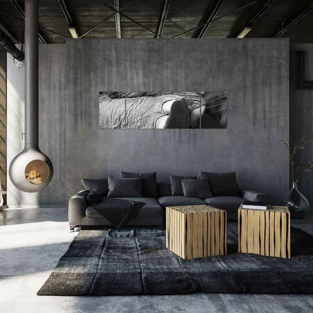 Obraz - Noga słonia (170x50 cm)