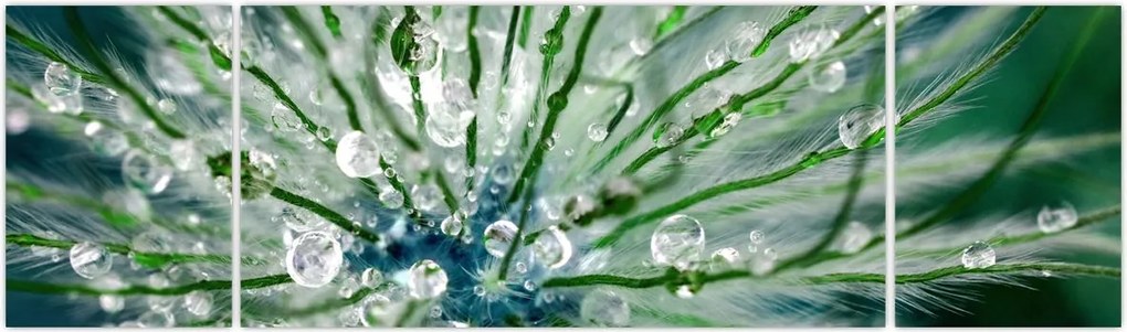 Obraz - Makro zdjęcie kwiatu (170x50 cm)