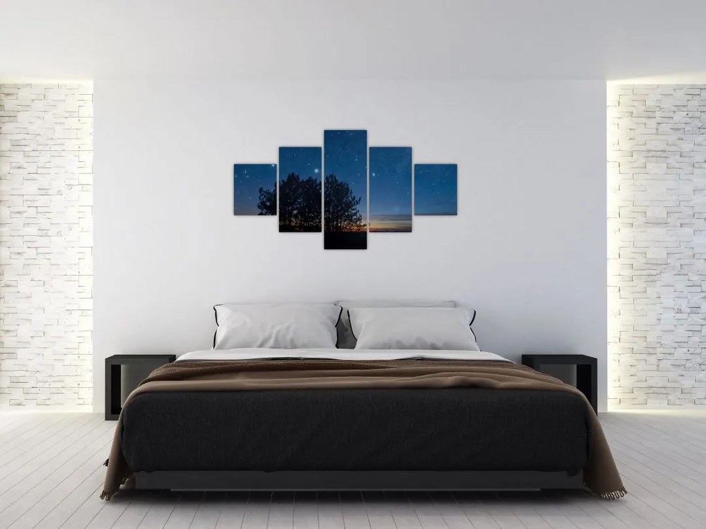 Obraz drzew w nocy (125x70 cm)