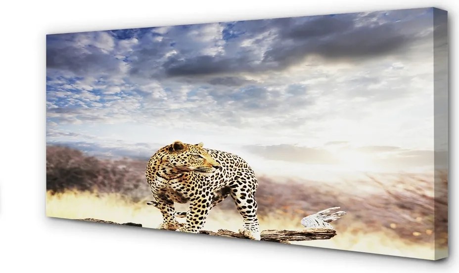 Zdjęcie na płótnie Pantera na Tle Chmur