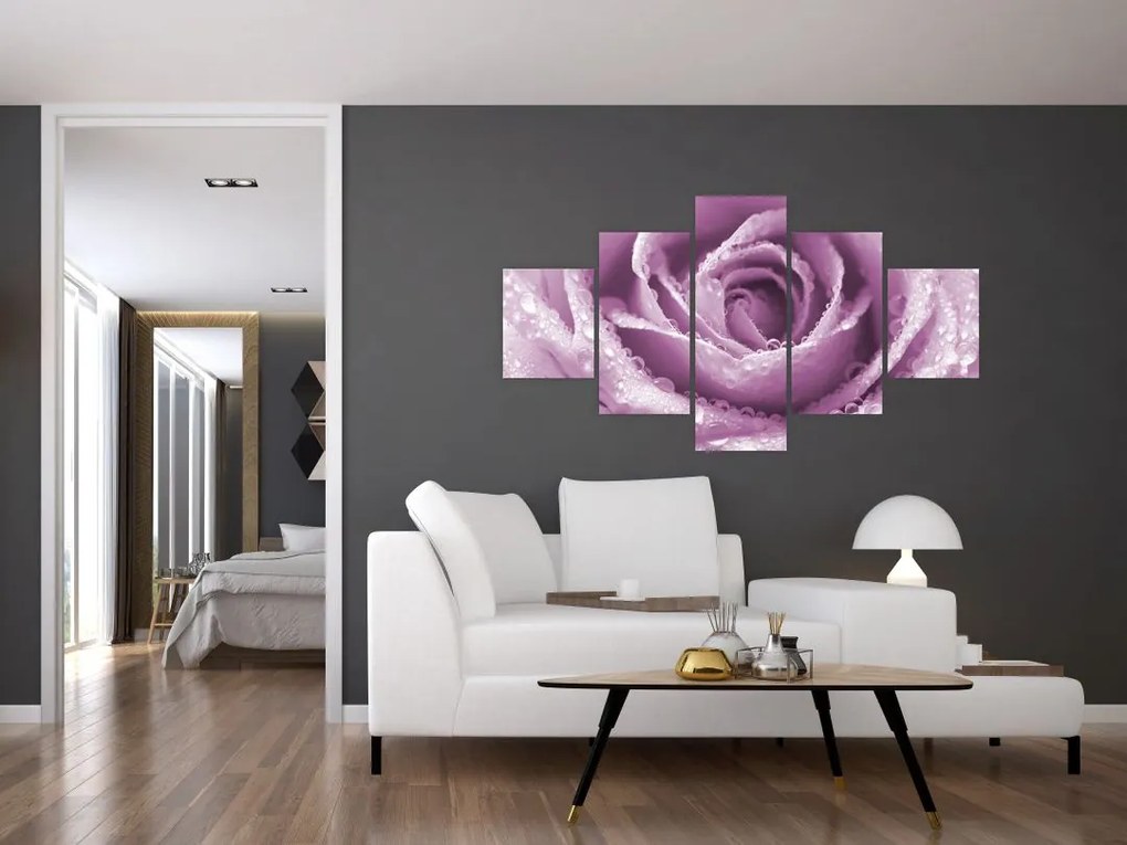 Obraz szczegółu kwiatu róży (125x70 cm)