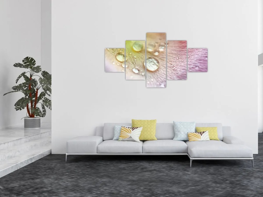 Obraz - Krople rosy (125x70 cm)