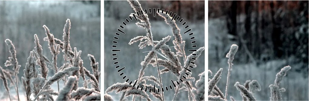 Obraz - Frozen Meadow (z zegarem) (90x30 cm)