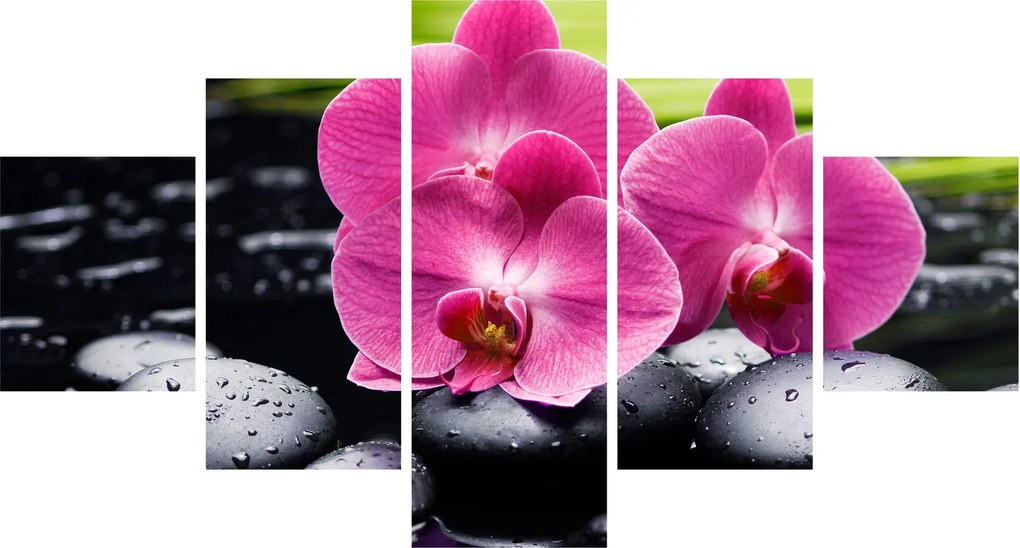 Obraz - Różowe orchidee z liściem palmy (125x70 cm)