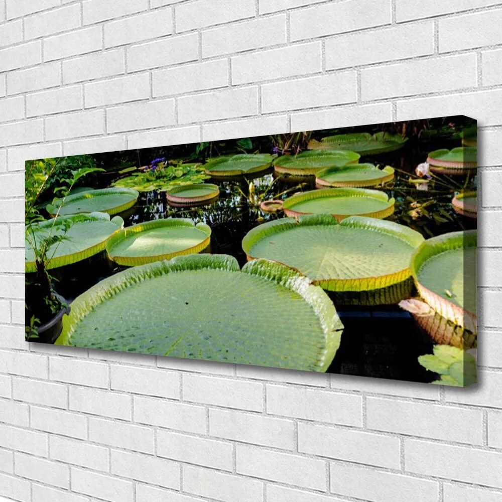 Obraz Canvas Liście Jezioro Natura