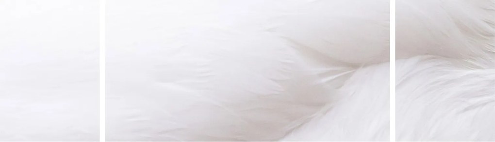 Obraz - Białe pióro (170x50 cm)