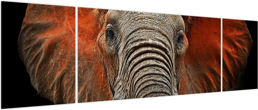 Obraz - Słonie z Tsavo (170x50 cm)