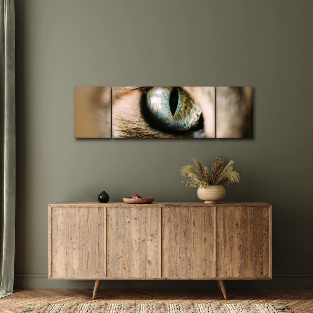 Obraz - Kocie oko (170x50 cm)