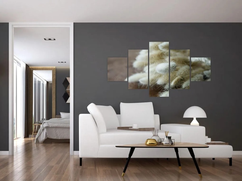 Obraz - Zajęczy ogonek (125x70 cm)