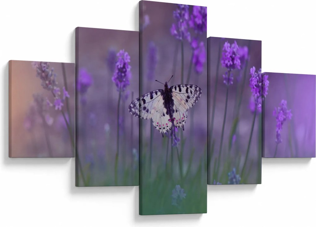 Obraz - Motyl w lawendach (125x70 cm)